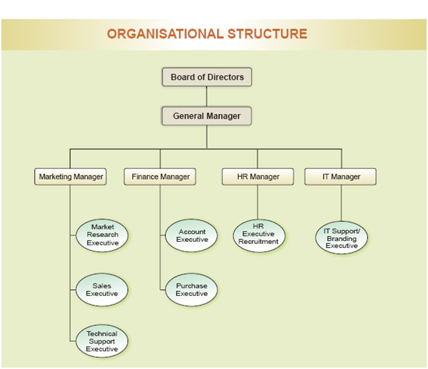 Organizational Structure