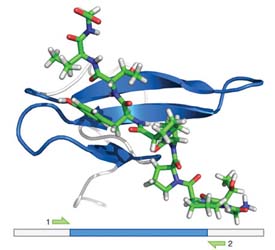 protein-sequencing1